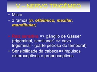 V – NERVO TRIGÊMEO
• Misto
• 3 ramos (n. oftálmico, maxilar,
mandibular)
• Raiz sensitiva => gânglio de Gasser
(trigeminal, semilunar) => cavo
trigeminal - (parte petrosa do temporal)
• Sensibilidade da cabeça=>impulsos
exteroceptivos e proprioceptivos
 