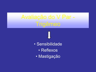 Avaliação do V Par -
Trigêmeo
• Sensibilidade
• Reflexos
• Mastigação
 