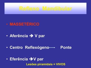 Reflexo Mandibular
• MASSETÉRICO
• Aferência  V par
• Centro Reflexógeno Ponte
• Eferência V par
Lesões piramidais = VIVOS
 