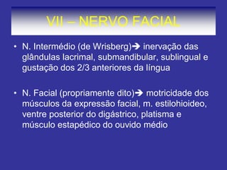 VII – NERVO FACIAL
• N. Intermédio (de Wrisberg) inervação das
glândulas lacrimal, submandibular, sublingual e
gustação dos 2/3 anteriores da língua
• N. Facial (propriamente dito) motricidade dos
músculos da expressão facial, m. estilohioideo,
ventre posterior do digástrico, platisma e
músculo estapédico do ouvido médio
 