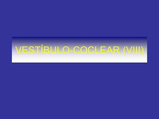 VESTÍBULO-COCLEAR (VIII)
 
