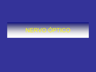 NERVO ÓPTICO
 