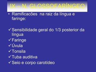 IX – N. GLOSSOFARÍNGEO
• Ramificacões na raiz da língua e
faringe:
Sensibilidade geral do 1/3 posterior da
língua
Faringe
Úvula
Tonsila
Tuba auditiva
Seio e corpo carotídeo
 