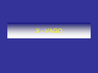 X - VAGO
 