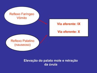 Reflexo Faríngeo
Vômito
Reflexo Palatino
(nauseoso)
Elevação do palato mole e retração
da úvula
Via aferente: IX
Via eferente: X
 