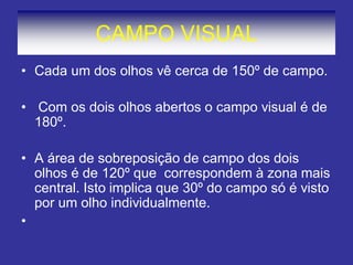 CAMPO VISUAL
• Cada um dos olhos vê cerca de 150º de campo.
• Com os dois olhos abertos o campo visual é de
180º.
• A área de sobreposição de campo dos dois
olhos é de 120º que correspondem à zona mais
central. Isto implica que 30º do campo só é visto
por um olho individualmente.
•
 