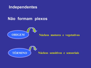 Independentes
Não formam plexos
ORIGEM Núcleos motores e vegetativos
TÉRMINO Núcleos sensitivos e sensoriais
 