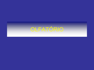 OLFATÓRIO
 