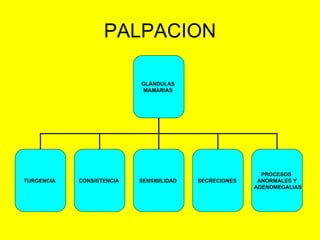 PALPACION GLÁNDULAS  MAMARIAS   TURGENCIA   CONSISTENCIA   SENSIBILIDAD   SECRECIONES   PROCESOS  ANORMALES Y ADENOMEGALIAS 