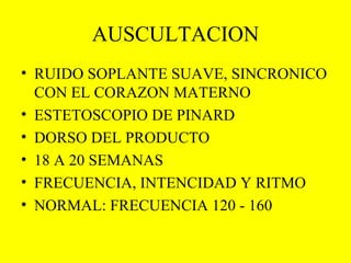AUSCULTACION RUIDO SOPLANTE SUAVE, SINCRONICO CON EL CORAZON MATERNO ESTETOSCOPIO DE PINARD DORSO DEL PRODUCTO 18 A 20 SEMANAS FRECUENCIA, INTENCIDAD Y RITMO NORMAL: FRECUENCIA 120 - 160 