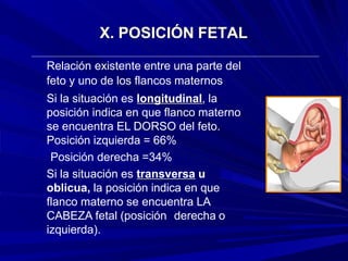 X. POSICIÓN FETAL
Relación existente entre una parte del
feto y uno de los flancos maternos
Si la situación es longitudinal, la
posición indica en que flanco materno
se encuentra EL DORSO del feto.
Posición izquierda = 66%
Posición derecha =34%
Si la situación es transversa u
oblicua, la posición indica en que
flanco materno se encuentra LA
CABEZA fetal (posición derecha o
izquierda).
 