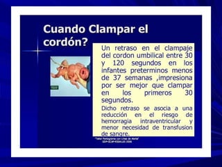 PROPEDEUTICA OBSTETRICA.pptx