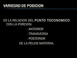 ES LA RELACION DEL PUNTO TOCONOMICO
CON LA PORCION:
- ANTERIOR
- TRANSVERSA
- POSTERIOR
DE LA PELVIS MATERNA.
 