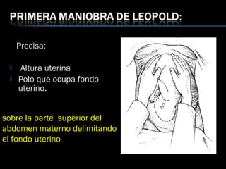 Precisa:
 Altura uterina
 Polo que ocupa fondo
uterino.
sobre la parte superior del
abdomen materno delimitando
el fondo uterino
 