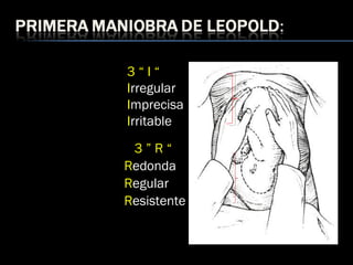 3 ” R “
Redonda
Regular
Resistente
3 “ I “
Irregular
Imprecisa
Irritable
 
