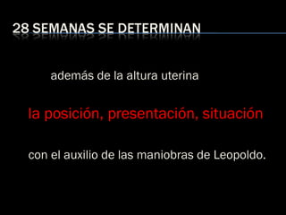 además de la altura uterina
la posición, presentación, situación
con el auxilio de las maniobras de Leopoldo.
 
 