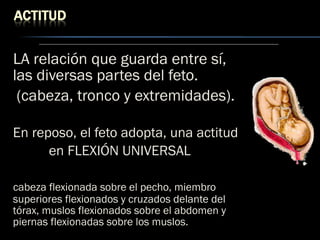 LA relación que guarda entre sí,
las diversas partes del feto.
(cabeza, tronco y extremidades).
En reposo, el feto adopta, una actitud
en FLEXIÓN UNIVERSAL
cabeza flexionada sobre el pecho, miembro
superiores flexionados y cruzados delante del
tórax, muslos flexionados sobre el abdomen y
piernas flexionadas sobre los muslos.
 