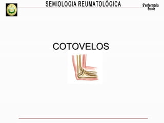 COTOVELOS

 