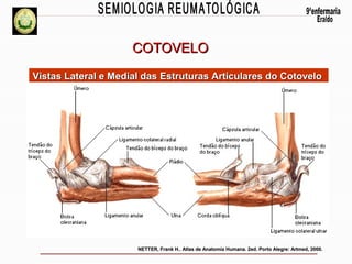 COTOVELO
Vistas Lateral e Medial das Estruturas Articulares do Cotovelo

NETTER, Frank H.. Atlas de Anatomia Humana. 2ed. Porto Alegre: Artmed, 2000.

 