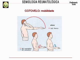 COTOVELO: mobilidade

 