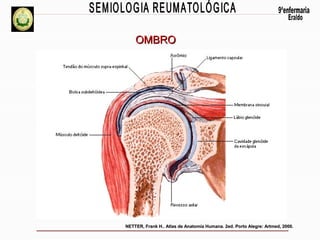 OMBRO
Secção Coronal (Frontal) do Ombro

NETTER, Frank H.. Atlas de Anatomia Humana. 2ed. Porto Alegre: Artmed, 2000.

 
