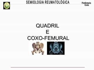 QUADRIL
E
COXO-FEMURAL

 