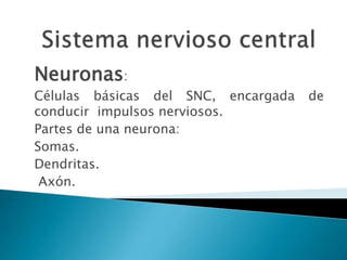 Neuronas:
Células básicas del SNC, encargada de
conducir impulsos nerviosos.
Partes de una neurona:
Somas.
Dendritas.
Axón.
 