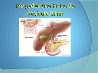 PPrrooppeeddêêuuttiiccaa FFííssiiccaa ddaa 
VVeessííccuullaa BBiilliiaarr 
 