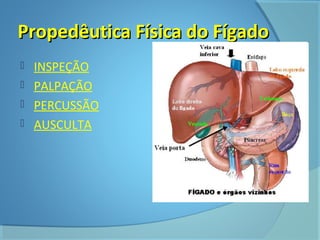 PPrrooppeeddêêuuttiiccaa FFííssiiccaa ddoo FFííggaaddoo 
 INSPEÇÃO 
 PALPAÇÃO 
 PERCUSSÃO 
 AUSCULTA 
 