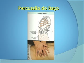 PPeerrccuussssããoo ddoo BBaaççoo 
 