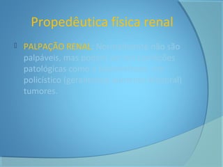 Propedêutica física renal 
 PALPAÇÃO RENAL: Normalmente não são 
palpáveis, mas podem ser em condições 
patológicas como a hidronefrose, rim 
policístico (geralmente aumento bilateral) 
tumores. 
 