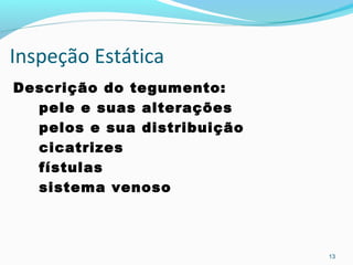 Inspeção Estática
Descrição do tegumento:
pele e suas alterações
pelos e sua distribuição
cicatrizes
fístulas
sistema venoso
13
 