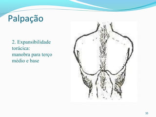 Palpação
35
2. Expansibilidade
torácica:
manobra para terço
médio e base
 