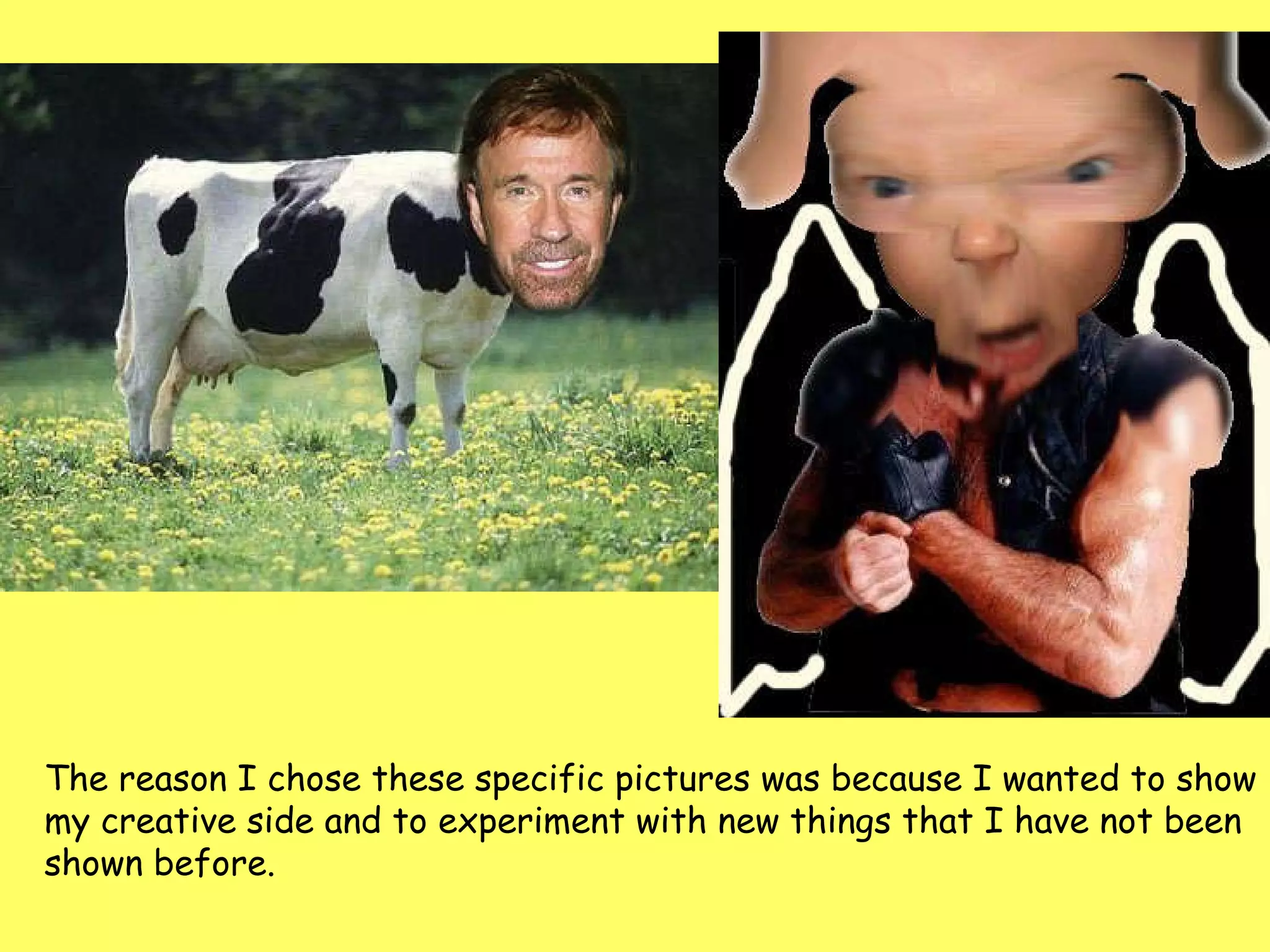 The reason I chose these specific pictures was because I wanted to show  my creative side and to experiment with new things that I have not been shown before. 