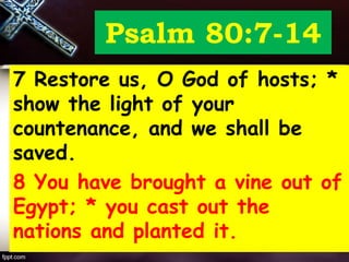 Psalm 80:7-14
7 Restore us, O God of hosts; *
show the light of your
countenance, and we shall be
saved.
8 You have brought a vine out of
Egypt; * you cast out the
nations and planted it.
 