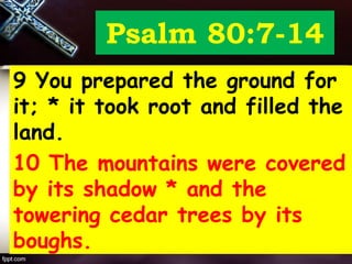Psalm 80:7-14
9 You prepared the ground for
it; * it took root and filled the
land.
10 The mountains were covered
by its shadow * and the
towering cedar trees by its
boughs.
 
