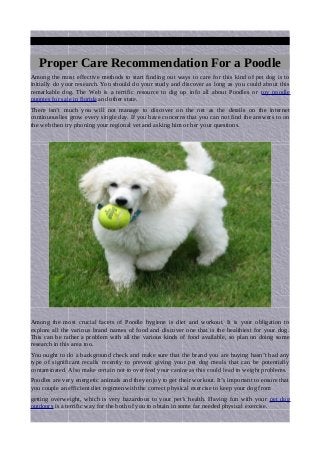 Proper Care Recommendation For a Poodle
Among the most effective methods to start finding out ways to care for this kind of pet dog is to
initially do your research. You should do your study and discover as long as you could about this
remarkable dog. The Web is a terrific resource to dig up info all about Poodles or toy poodle
puppies for sale in florida and other state.
There isn’t much you will not manage to discover on the net as the details on the internet
continuouslies grow every single day. If you have concerns that you can not find the answers to on
the web then try phoning your regional vet and asking him or her your questions.
Among the most crucial facets of Poodle hygiene is diet and workout. It is your obligation to
explore all the various brand names of food and discover one that is the healthiest for your dog.
This can be rather a problem with all the various kinds of food available, so plan on doing some
research in this area too.
You ought to do a background check and make sure that the brand you are buying hasn’t had any
type of significant recalls recently to prevent giving your pet dog meals that can be potentially
contaminated. Also make certain not to overfeed your canine as this could lead to weight problems.
Poodles are very energetic animals and they enjoy to get their workout. It’s important to ensure that
you couple an efficient diet regimen with the correct physical exercise to keep your dog from
getting overweight, which is very hazardous to your pet’s health. Having fun with your pet dog
outdoors is a terrific way for the both of you to obtain in some far needed physical exercise.
 