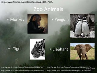http://www.flickr.com/photos/iftenney/2487547635/

Zoo Animals
• Monkey

• Tiger

• Penguin

• Elephant

http://www.flickr.com/photos/doug88888/5564907947/

http://www.flickr.com/photos/paperpariah/4135993317/

http://www.flickr.com/photos/doug88888/3541945346/

http://www.flickr.com/photos/thelivelygirl/5261389796/

 