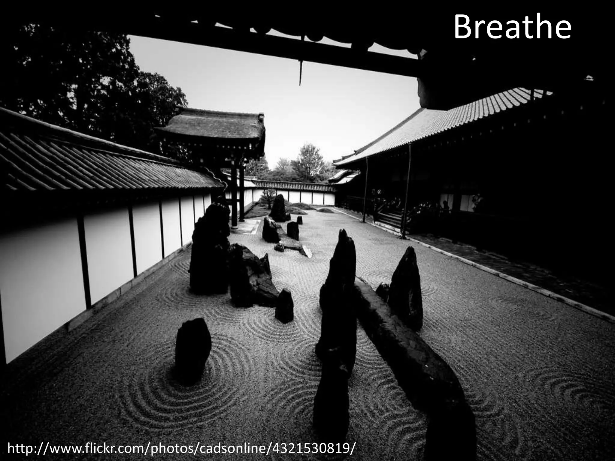 Breathe

http://www.flickr.com/photos/cadsonline/4321530819/

 