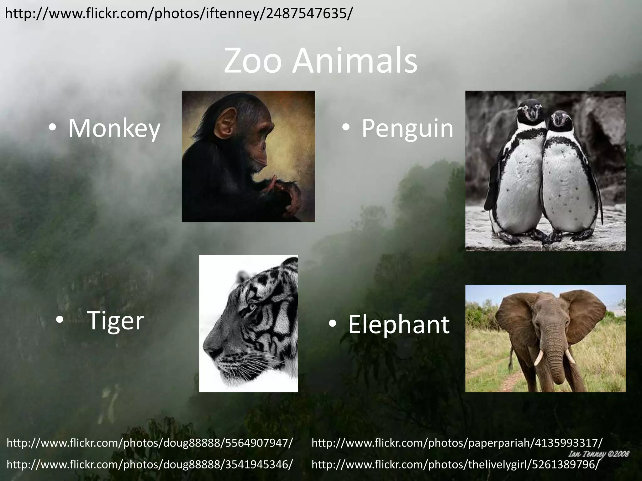 http://www.flickr.com/photos/iftenney/2487547635/

Zoo Animals
• Monkey

• Tiger

• Penguin

• Elephant

http://www.flickr.com/photos/doug88888/5564907947/

http://www.flickr.com/photos/paperpariah/4135993317/

http://www.flickr.com/photos/doug88888/3541945346/

http://www.flickr.com/photos/thelivelygirl/5261389796/

 