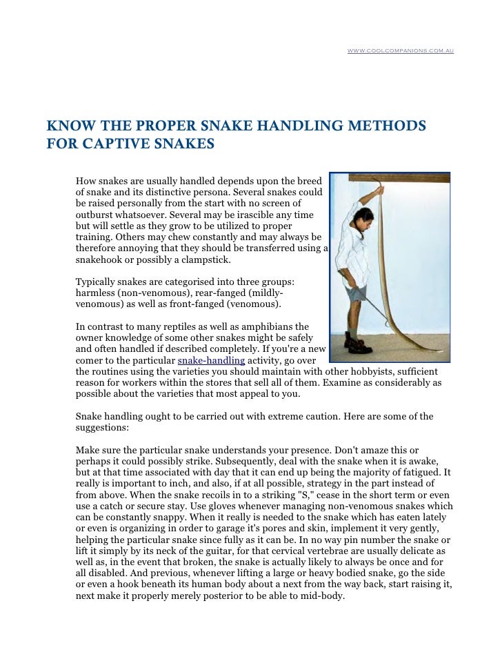 Proper Snake Handling Methods