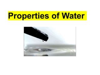 Properties of Water
 