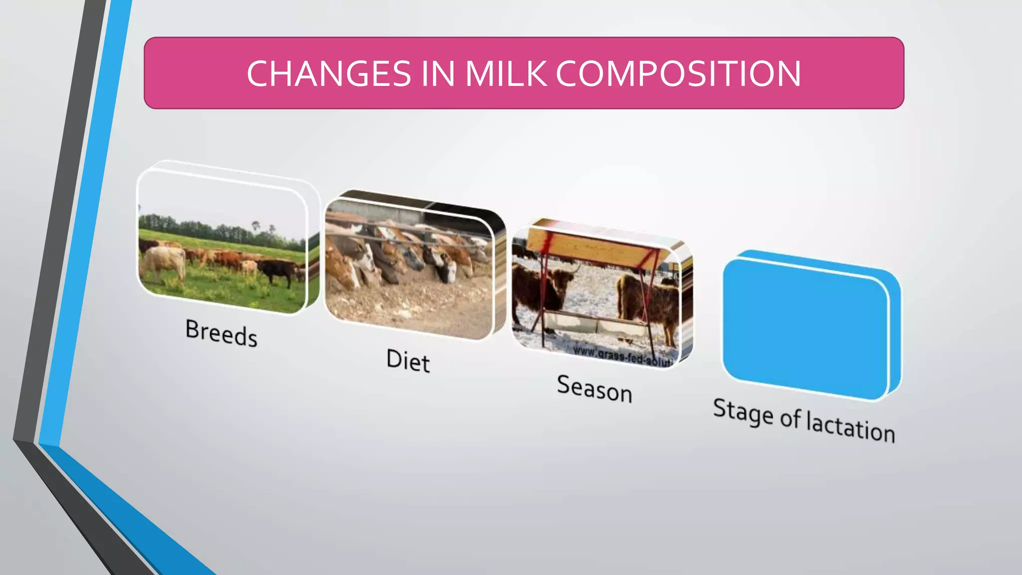Milk, Physical Properties and milk fat | PPTX