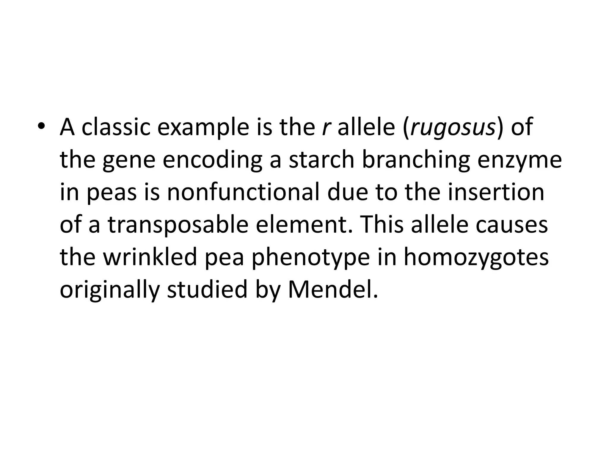 • A classic example is the r allele (rugosus) of
the gene encoding a starch branching enzyme
in peas is nonfunctional due to the insertion
of a transposable element. This allele causes
the wrinkled pea phenotype in homozygotes
originally studied by Mendel.
