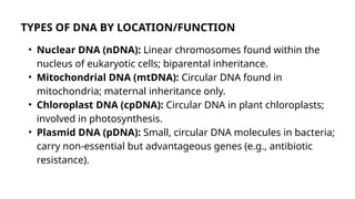 Properties and Types of DNA_20251109_124249_0000.pptx