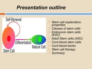 Properties and uses of stem cells | PPT