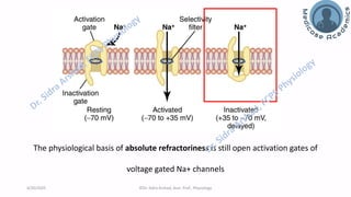 Nerve Physiology - Properties of Action Potential | PDF