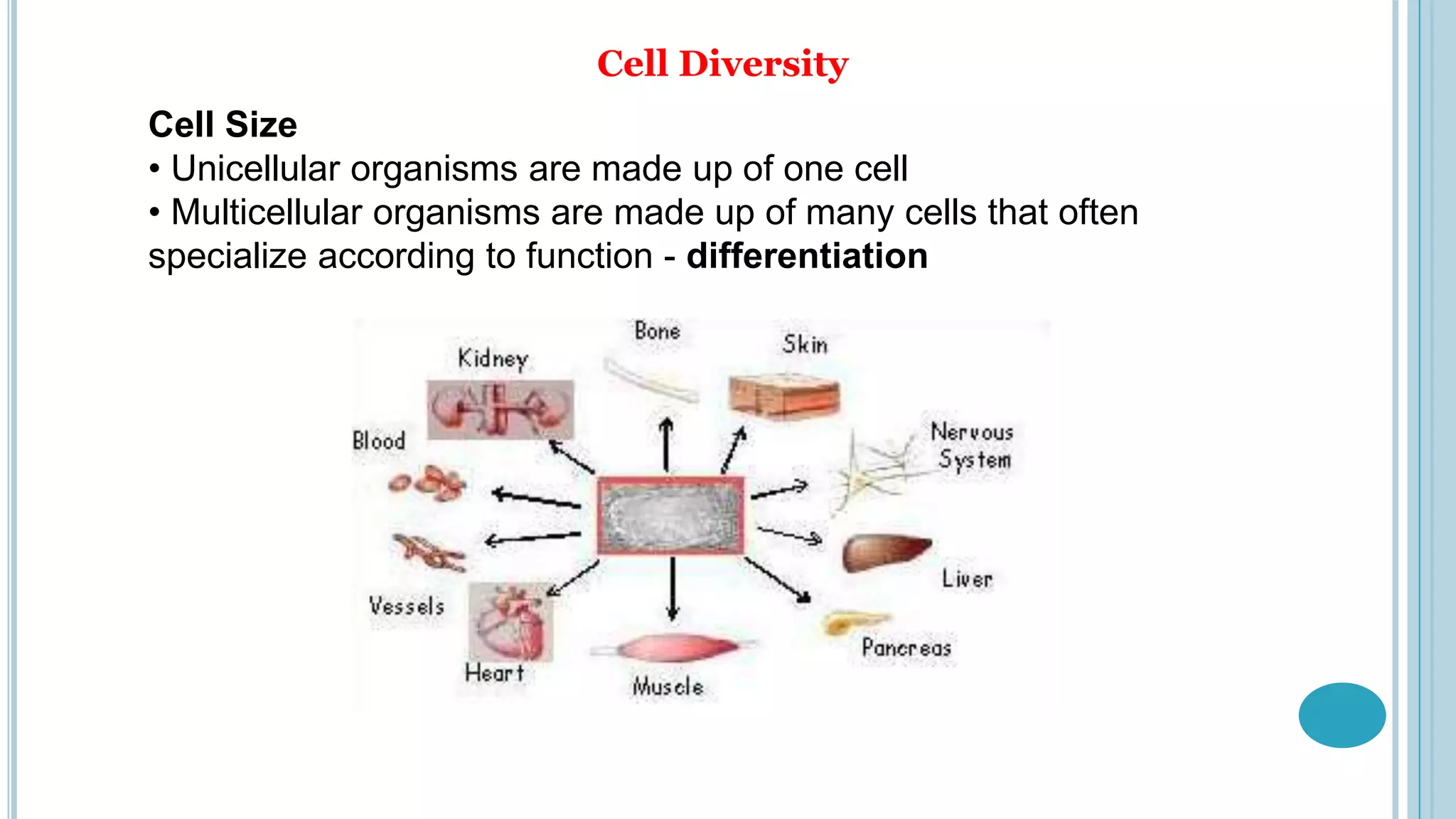 Properties of cells & cell membrane | PPTX