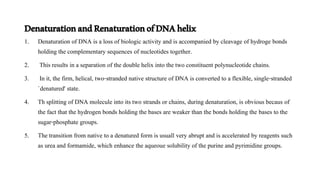 Properties of DNA.pptx