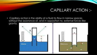 Properties of Fluids | PPTX